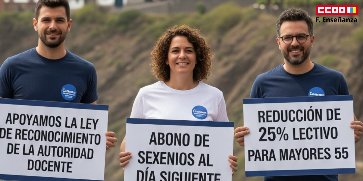 F. Enseanza Ley reconocimiento autoridad profesorado