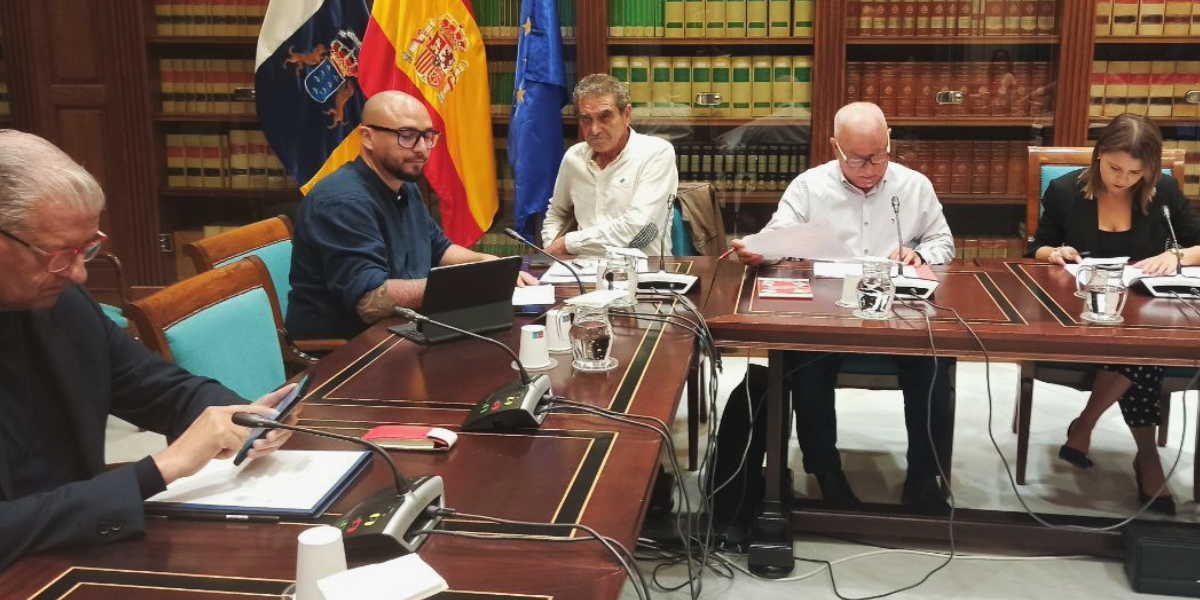 Comisin de Turismo y Negociacin Colectiva del Parlamento de Canarias