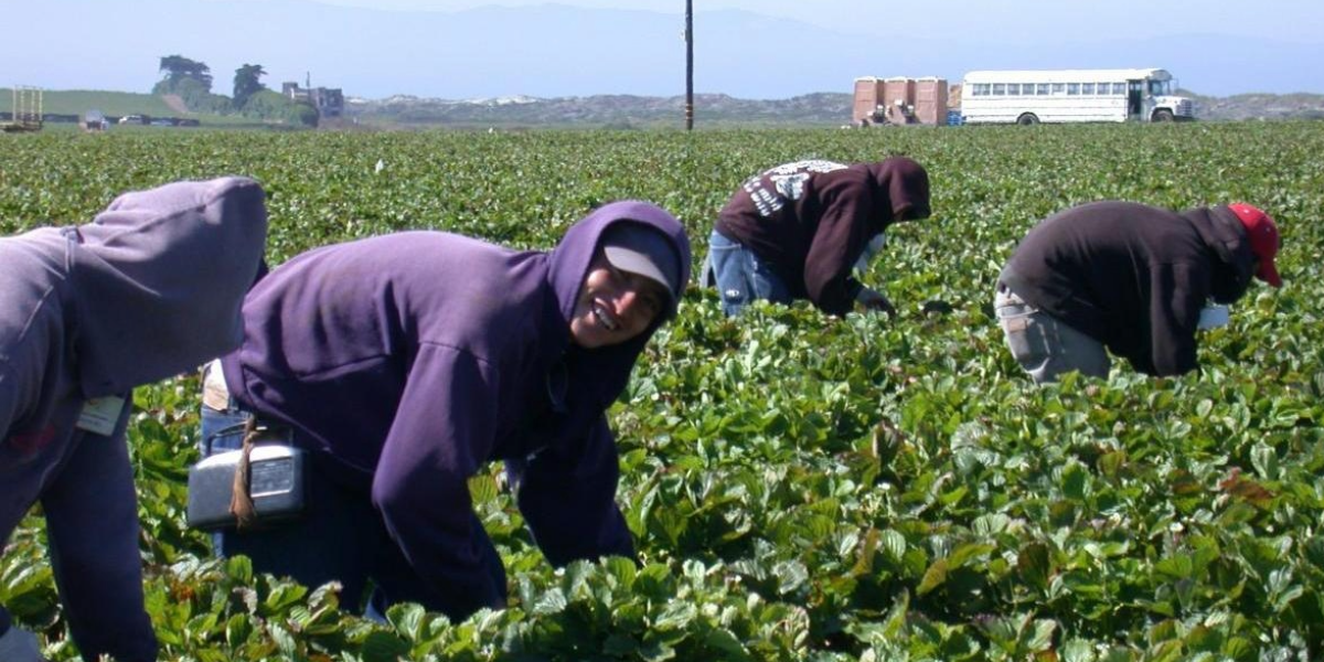 Nuevo proceso de regularización de personas migrantes