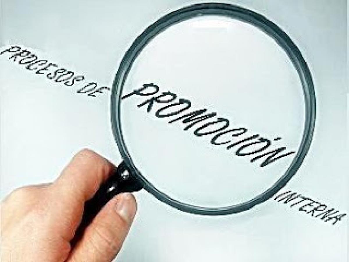 Promocin Interna