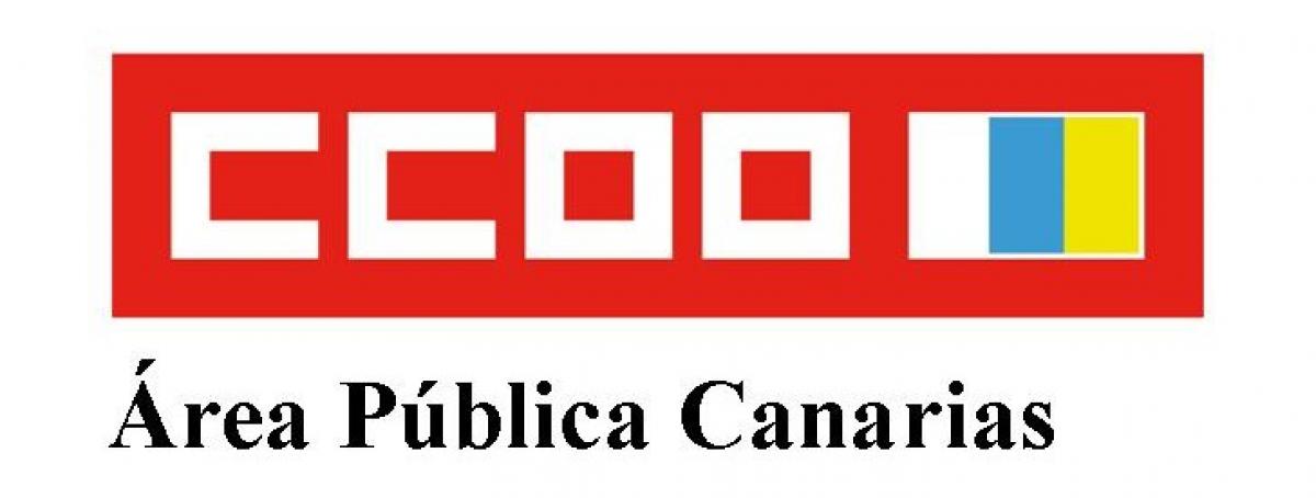 Area publica CCOO Canarias