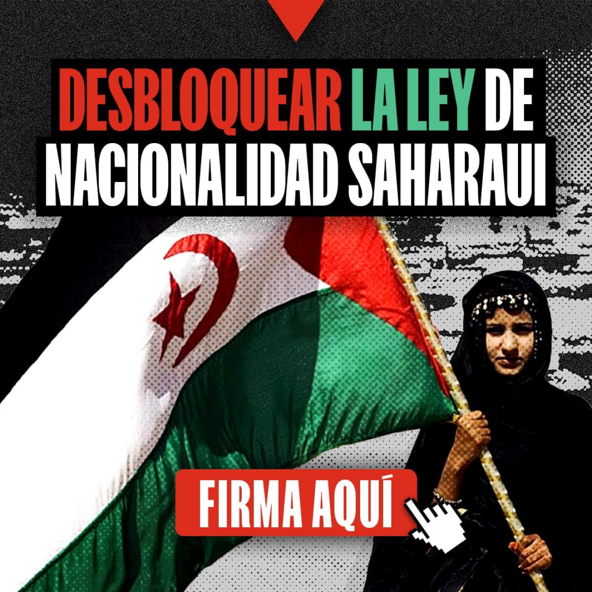 Campaña Ley de nacionalidad saharaui